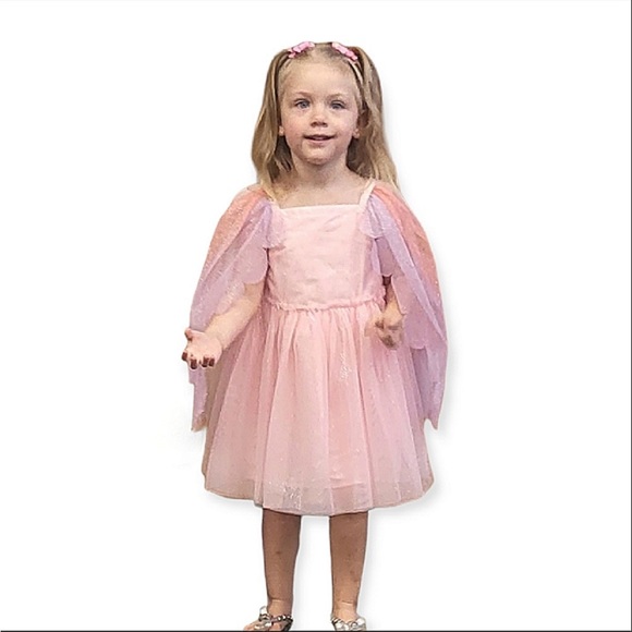 Cat & Jack Dresses Copy 4t Fairy Dress Ranbowcat Jack Poshmark